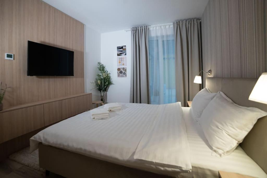 Carpe Diem Travel Timisoara Exterior photo